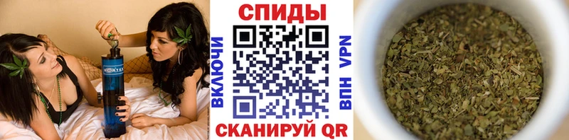 Бутират буратино Кашира