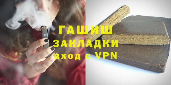 гидра Вяземский