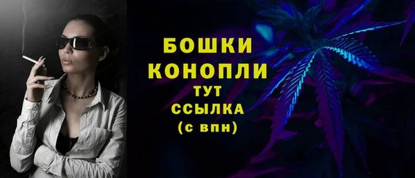 гидра Вяземский